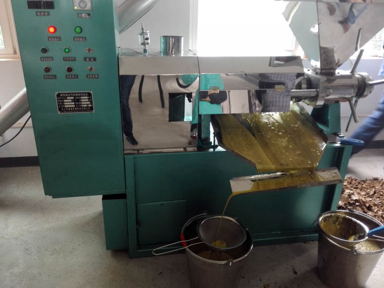 Oil Press