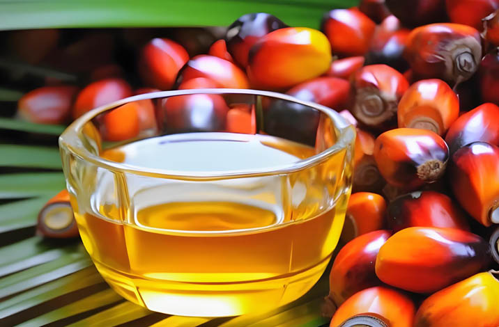 Palm oil mill